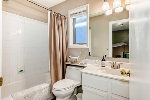 20 Rivergreen Crescent Se, Calgary, AB - Indoor Photo Showing Bathroom