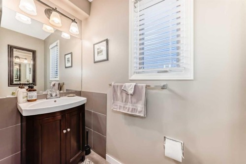 20 Rivergreen Crescent Se, Calgary, AB - Indoor Photo Showing Bathroom