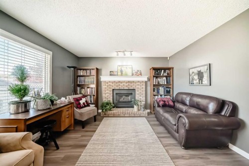 20 Rivergreen Crescent Se, Calgary, AB - Indoor Photo Showing Living Room With Fireplace