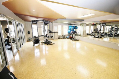 1708-11811 Lake Fraser Drive Se, Calgary, AB - Indoor Photo Showing Gym Room