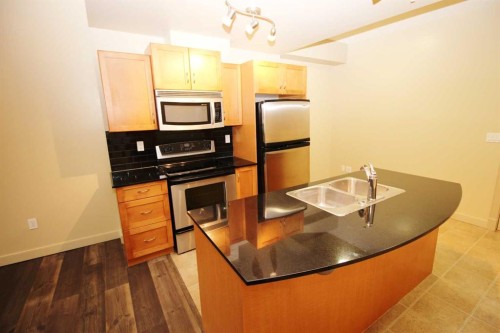 1708-11811 Lake Fraser Drive Se, Calgary, AB - Indoor Photo Showing Kitchen With Double Sink