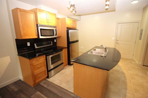 1708-11811 Lake Fraser Drive Se, Calgary, AB - Indoor Photo Showing Kitchen With Double Sink