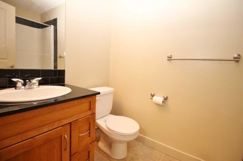 1708-11811 Lake Fraser Drive Se, Calgary, AB - Indoor Photo Showing Bathroom