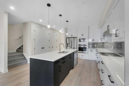 144 Saddlelake Manor Ne, Calgary, AB - Indoor Photo Showing Kitchen With Double Sink With Upgraded Kitchen