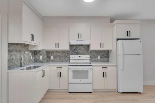 144 Saddlelake Manor Ne, Calgary, AB - Indoor Photo Showing Kitchen With Double Sink