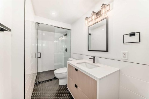 9803 Fairmount Drive Se, Calgary, AB - Indoor Photo Showing Bathroom
