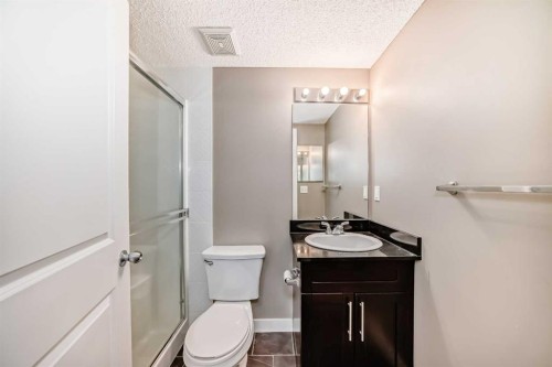 8201-403 Mackenzie Way Sw, Airdrie, AB - Indoor Photo Showing Bathroom