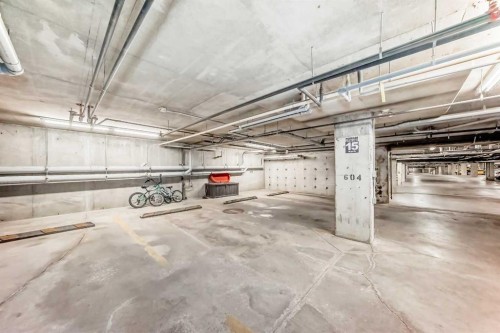 8201-403 Mackenzie Way Sw, Airdrie, AB - Indoor Photo Showing Garage