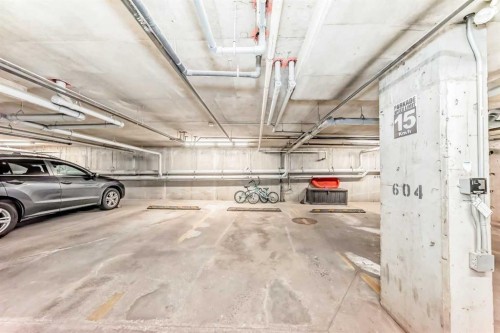 8201-403 Mackenzie Way Sw, Airdrie, AB - Indoor Photo Showing Garage