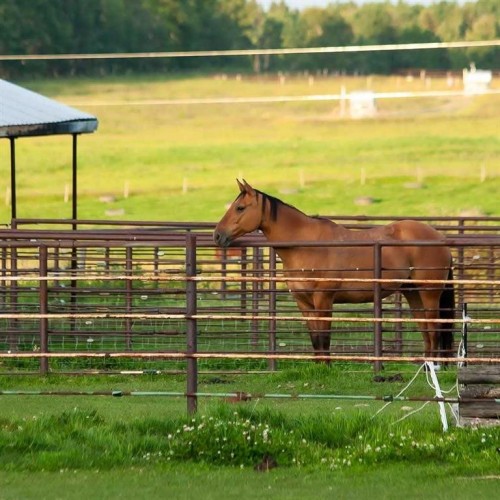 5559 Township Road 320, Rural Mountain View County, AB - Outdoor With View