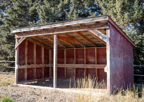 5559 Township Road 320, Rural Mountain View County, AB - Outdoor