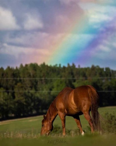 5559 Township Road 320, Rural Mountain View County, AB - Outdoor With Body Of Water With View