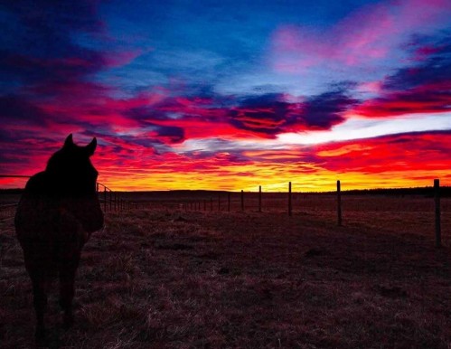 5559 Township Road 320, Rural Mountain View County, AB - Outdoor With View