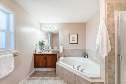 1046 Channelside Way Sw, Airdrie, AB - Indoor Photo Showing Bathroom