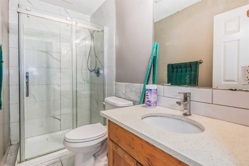 163 Taracove Estate Drive Ne, Calgary, AB - Indoor Photo Showing Bathroom