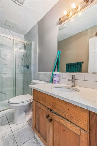 163 Taracove Estate Drive Ne, Calgary, AB - Indoor Photo Showing Bathroom
