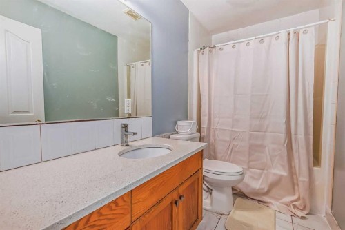 163 Taracove Estate Drive Ne, Calgary, AB - Indoor Photo Showing Bathroom