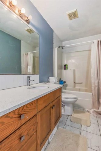163 Taracove Estate Drive Ne, Calgary, AB - Indoor Photo Showing Bathroom