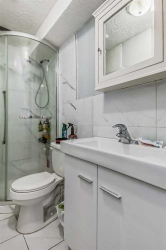 163 Taracove Estate Drive Ne, Calgary, AB - Indoor Photo Showing Bathroom