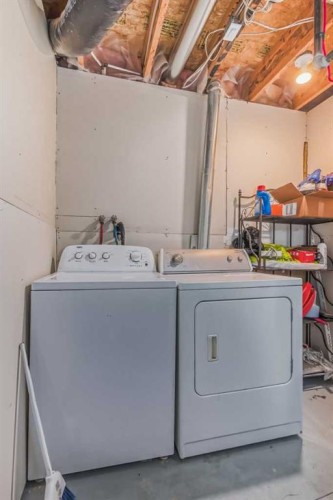 163 Taracove Estate Drive Ne, Calgary, AB - Indoor Photo Showing Laundry Room