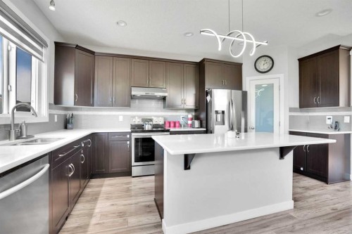 87 Redstone Boulevard Ne, Calgary, AB - Indoor Photo Showing Kitchen With Double Sink With Upgraded Kitchen
