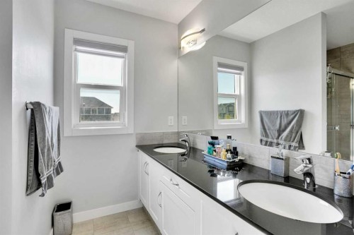 87 Redstone Boulevard Ne, Calgary, AB - Indoor Photo Showing Bathroom