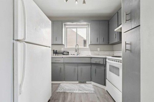 218 Falmere Way Ne, Calgary, AB - Indoor Photo Showing Kitchen With Double Sink