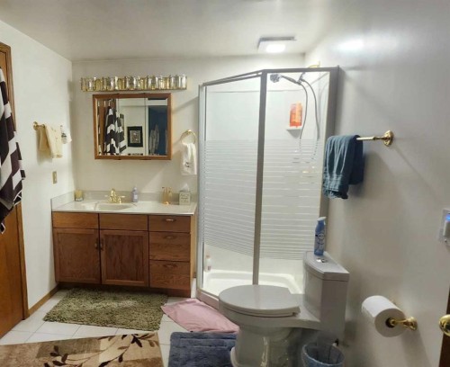 5202 Whitestone Road Ne, Calgary, AB - Indoor Photo Showing Bathroom