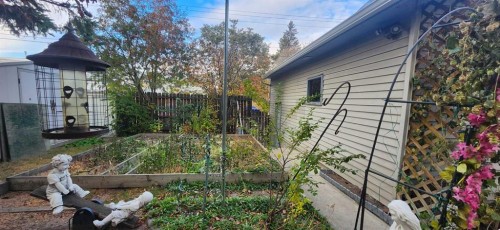 5202 Whitestone Road Ne, Calgary, AB - Outdoor