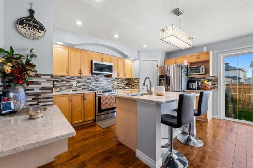 9287 Saddlebrook Drive Ne, Calgary, AB - Indoor Photo Showing Kitchen With Stainless Steel Kitchen With Upgraded Kitchen