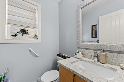 9287 Saddlebrook Drive Ne, Calgary, AB - Indoor Photo Showing Bathroom