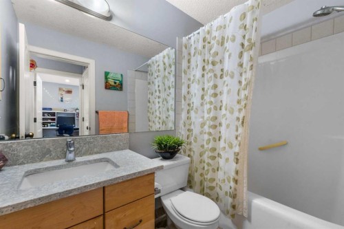 9287 Saddlebrook Drive Ne, Calgary, AB - Indoor Photo Showing Bathroom