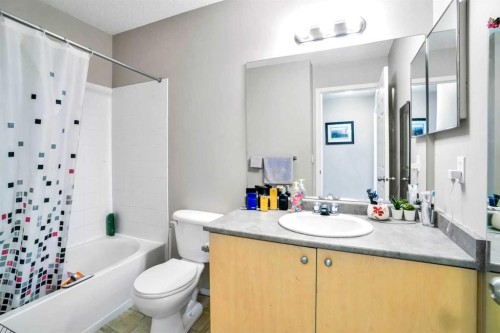 702-760 Railway Gate Sw, Airdrie, AB - Indoor Photo Showing Bathroom
