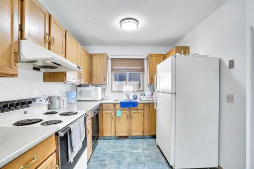 52 Erin Park Drive Se, Calgary, AB - Indoor Photo Showing Kitchen