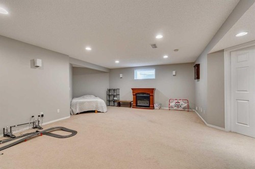 219 Chapalina Place Se, Calgary, AB - Indoor Photo Showing Basement