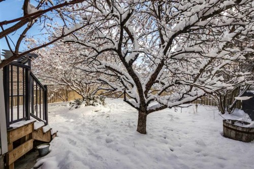 219 Chapalina Place Se, Calgary, AB - Outdoor