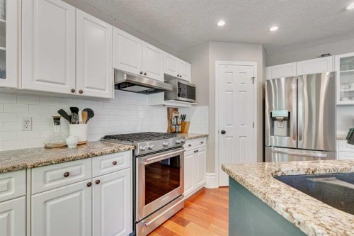 219 Chapalina Place Se, Calgary, AB - Indoor Photo Showing Kitchen With Upgraded Kitchen