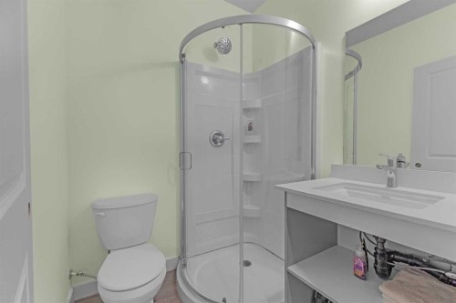 8048 Masters Boulevard Se, Calgary, AB - Indoor Photo Showing Bathroom