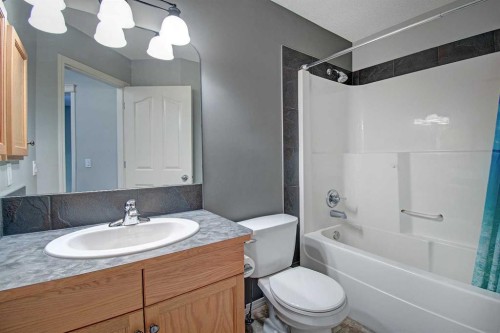 209 Sagewood Place Sw, Airdrie, AB - Indoor Photo Showing Bathroom