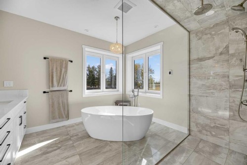 1474 Twp314, Rural Mountain View County, AB - Indoor Photo Showing Bathroom