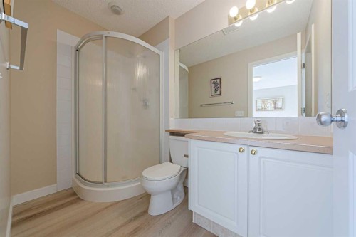 19 Sandarac Road Nw, Calgary, AB - Indoor Photo Showing Bathroom