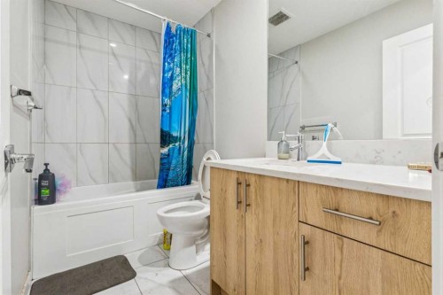 118 Saddlestone Park Ne, Calgary, AB - Indoor Photo Showing Bathroom
