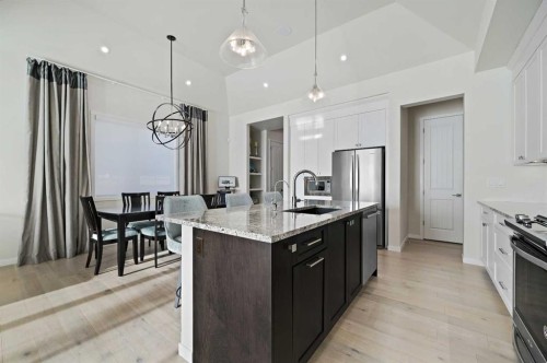 12 Cranbrook Mews Se, Calgary, AB - Indoor Photo Showing Kitchen With Stainless Steel Kitchen With Upgraded Kitchen
