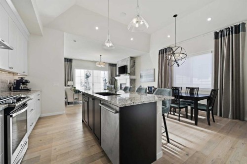 12 Cranbrook Mews Se, Calgary, AB - Indoor Photo Showing Kitchen With Stainless Steel Kitchen With Upgraded Kitchen