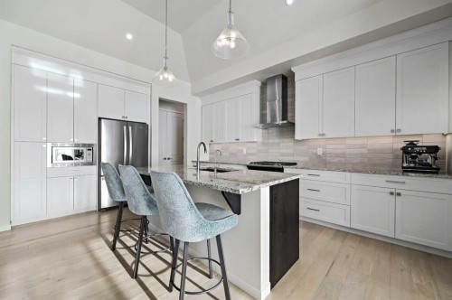 12 Cranbrook Mews Se, Calgary, AB - Indoor Photo Showing Kitchen With Stainless Steel Kitchen With Upgraded Kitchen