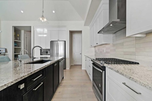 12 Cranbrook Mews Se, Calgary, AB - Indoor Photo Showing Kitchen With Stainless Steel Kitchen With Upgraded Kitchen