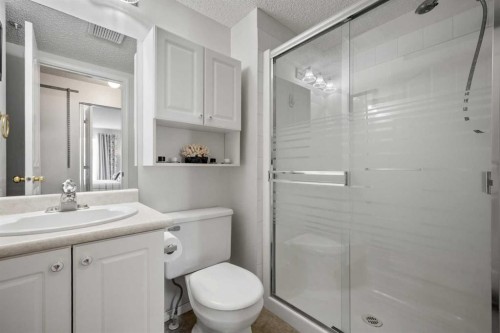 1208 Millrise Point Sw, Calgary, AB - Indoor Photo Showing Bathroom