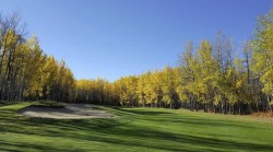  Rural Wetaskiwin No. 10, County Of, AB None