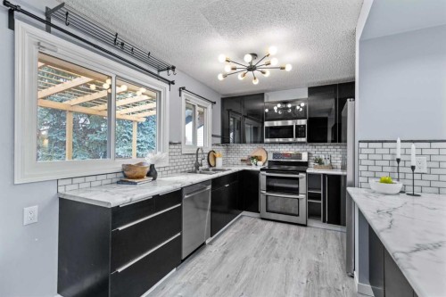 132 Whitehill Place Ne, Calgary, AB - Indoor Photo Showing Kitchen With Double Sink With Upgraded Kitchen