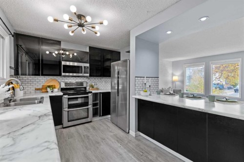 132 Whitehill Place Ne, Calgary, AB - Indoor Photo Showing Kitchen With Double Sink With Upgraded Kitchen